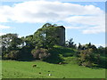 Craigneil Castle