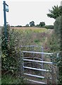 Footpath to Leicester Forest East