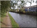 Grand Union Canal at Stockley Park