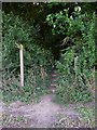 Footpath with steps at Ashley