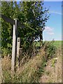 Footpath sign between Ashley and Chalk Vale