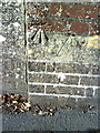 Benchmark at wall junction of #9 Prince of Wales Road