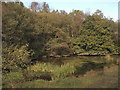 Small pool at Parc Slip Nature Park