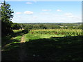 TQ4015 : View across the Low Weald from footpath crossing Deadmantree Hill by Dave Spicer
