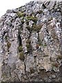 NG4440 : Columnar basalt, Skriaig by Richard Webb