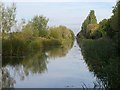 Slough arm of the Grand Union Canal