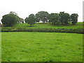 A grassy coombe below Windmill Hill