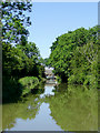 The Ashby Canal near Hinckley, Leicestershire