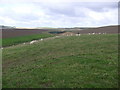 Farmland near Backhill of Thomastown