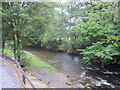 Afon Ceiriog from Pontfadog Car Park