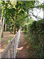 Footpath beside Paradise Farm, Cox Common