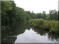 River Eden at Oxted Mill