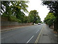 Hill Lane in early autumn