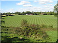 Scarified field at Mill Laine Farm