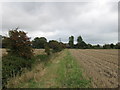 Footpath towards Gammon