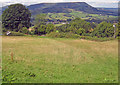 Meadow at Pant-y-tyle - 2