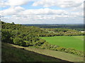 View NW across the lower slopes of Blackcap