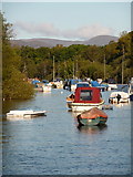 NS3982 : Balloch: northward view along the River Leven by Chris Downer