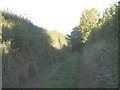 Footpath beyond Sutton Close