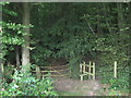 Gate and stile near Horn