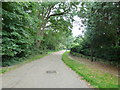 Early autumn in Cemetery Road