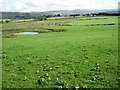 Pond near Hilltop Farm