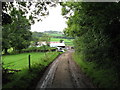 ST1372 : Lane to Beauville Farm, near Dinas Powis by Gareth James