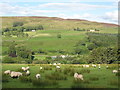 The valley of the River South Tyne around Underbank