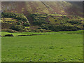 Fields west of Tal-y-llyn