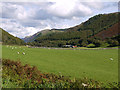 Fields below Mynydd Pentre