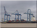 Cranes at Tilbury Docks