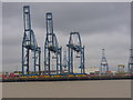 Cranes on the Thames at Tilbury