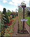 Walled Garden,  Bellahouston Park, Glasgow