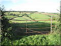 Gap in hedgebank above Lea Park