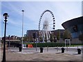 Ferris wheel next to the Echo Arena