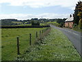 Grassy verge on the approach to Ton Cottages, Usk Road