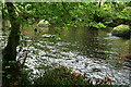 Chagford: the river Teign