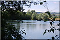 TQ7060 : Roaden Island Lake, Leybourne Lakes Country Park by N Chadwick