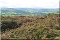 Moretonhampstead: on Cranbrook Castle