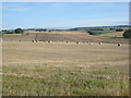 Farmland near Cairncake