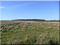 Farmland, Rashypans