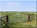 TM4599 : Gateway to Haddiscoe Marshes by Glen Denny