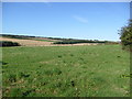 Farmland near Middlehill Farm