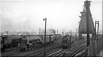 SE5952 : York (North) Locomotive Depot, scene in Yard by Ben Brooksbank