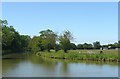 The Ashby Canal south of Stoke Golding, Leicestershire