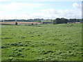 Farmland near Drum Croft