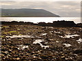 Blackwaterfoot: rock-pools and seaweed