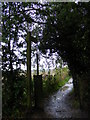 Footpath to Hanging Hill Lane & Church Lane