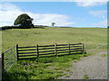 Field on the north side of Monmouth Road, Usk