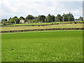 Pastures east of New Alston